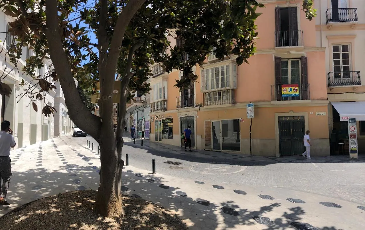 Plaza Del Teatro Apartment Malaga 0*,  Spain